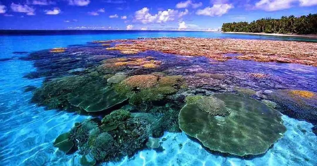 Dok. Super Adventure